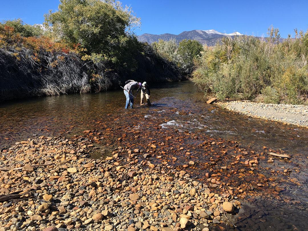 Assessing the change in instream geomorphology in the lower section of Rush Creek 